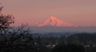 View from deck